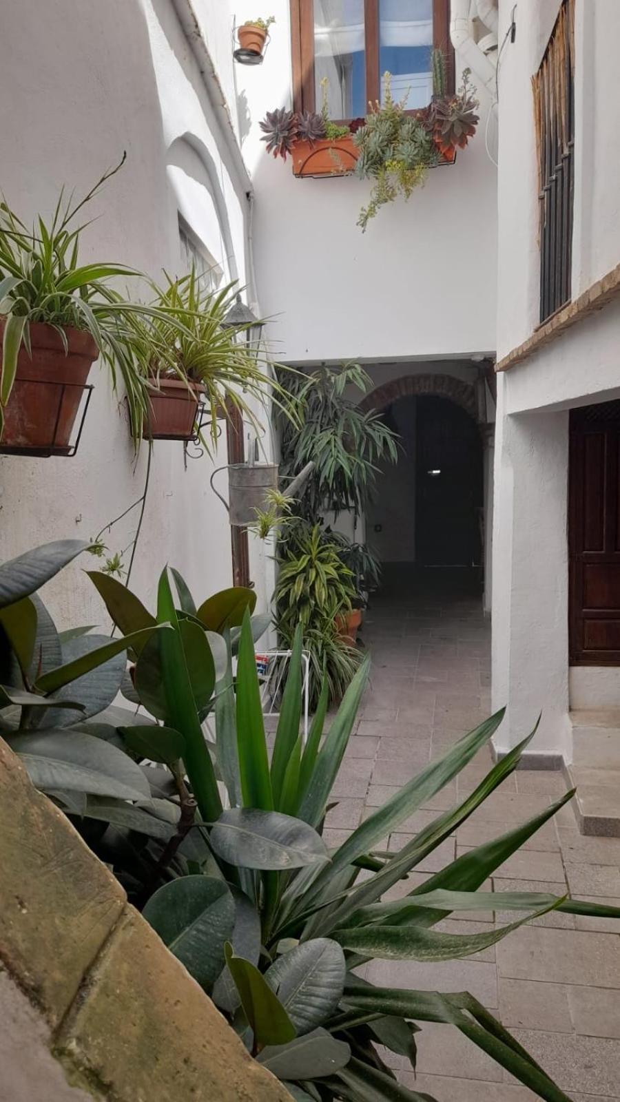 Apartamento En El Casco Historico Tarifa Ngoại thất bức ảnh